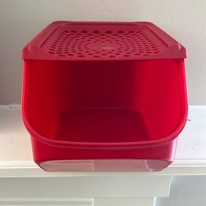 Onion and garlic smart container